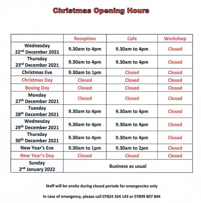 christmas opening 2021 small