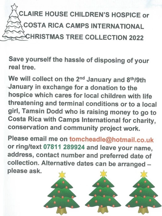 christmas tree collection offer 2022 photoscan