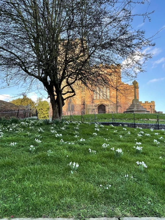 church snowdrops