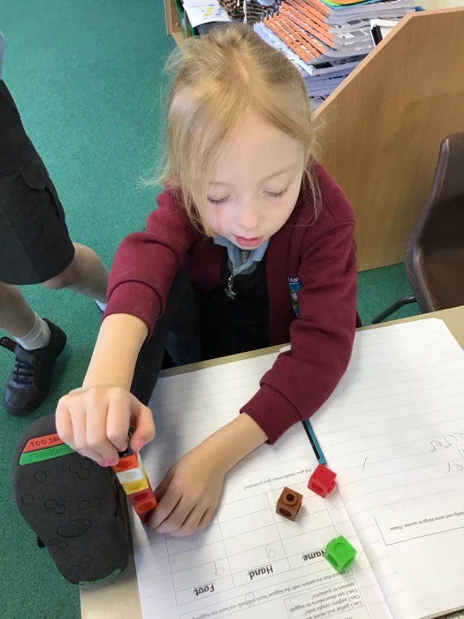 class 2 investigation