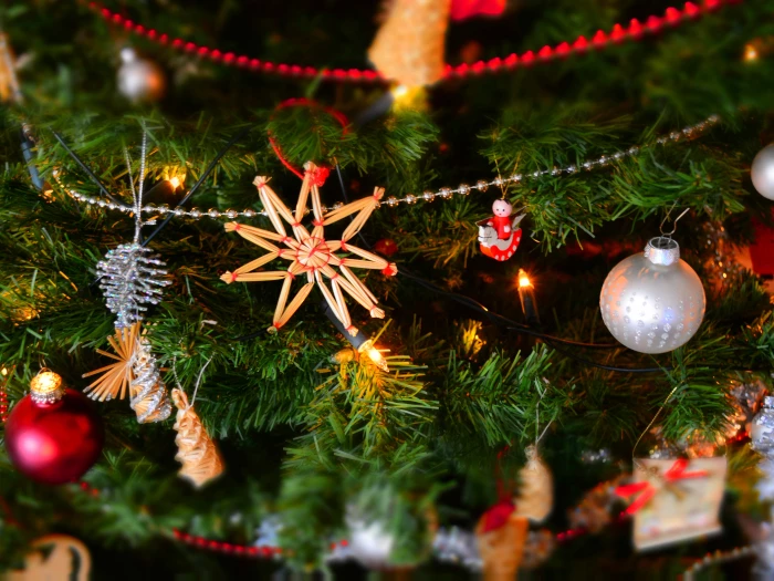 closeup of christmas decoration hanging on tree