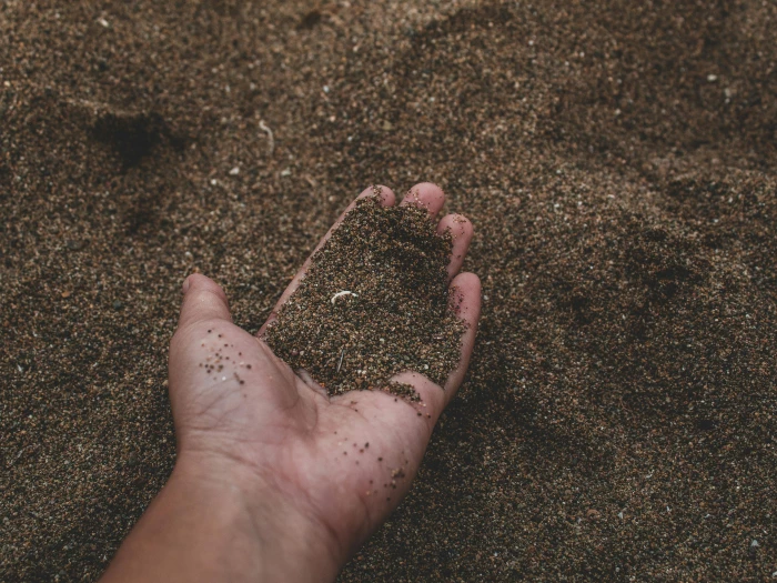 closeup photo of person holding sand