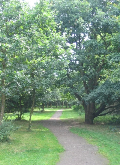 community woodland