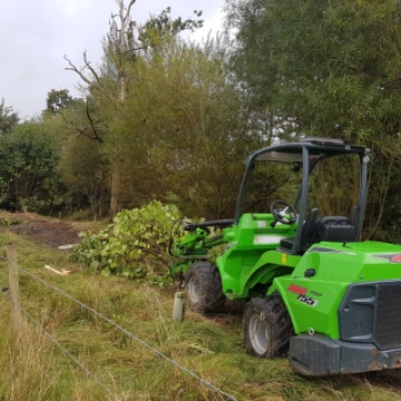 communitytreeplant3