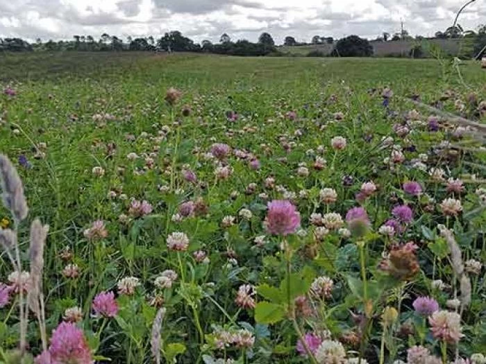 countrysidestewardship1 crop