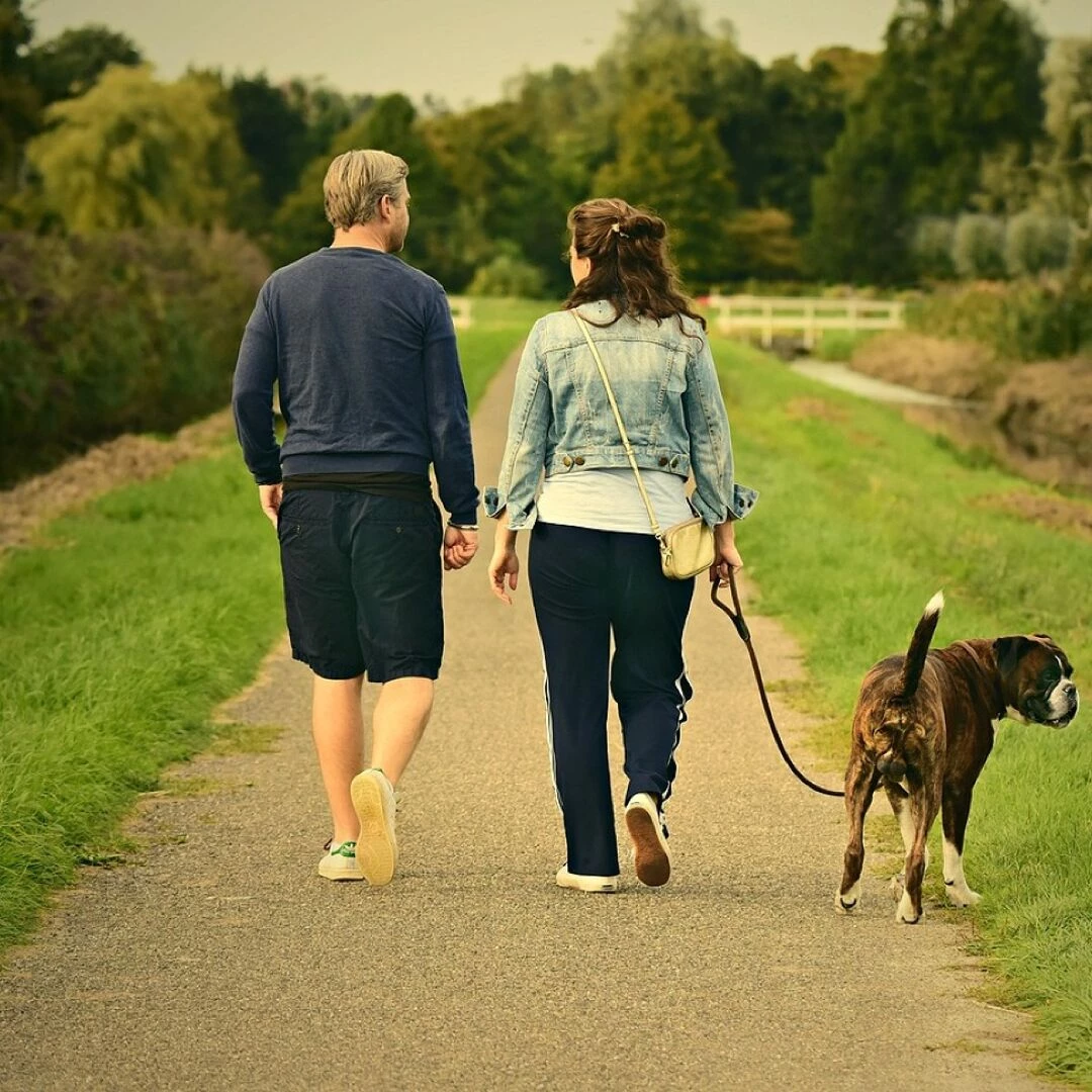 couple love outdoors walking pair dog animal nature mammal canine pet man male boy woman female girl romance relationship together joy happiness
