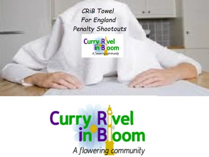 crib england shootout towel