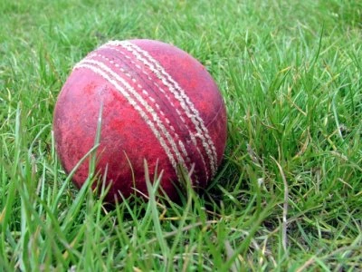 cricket cricket ball sport