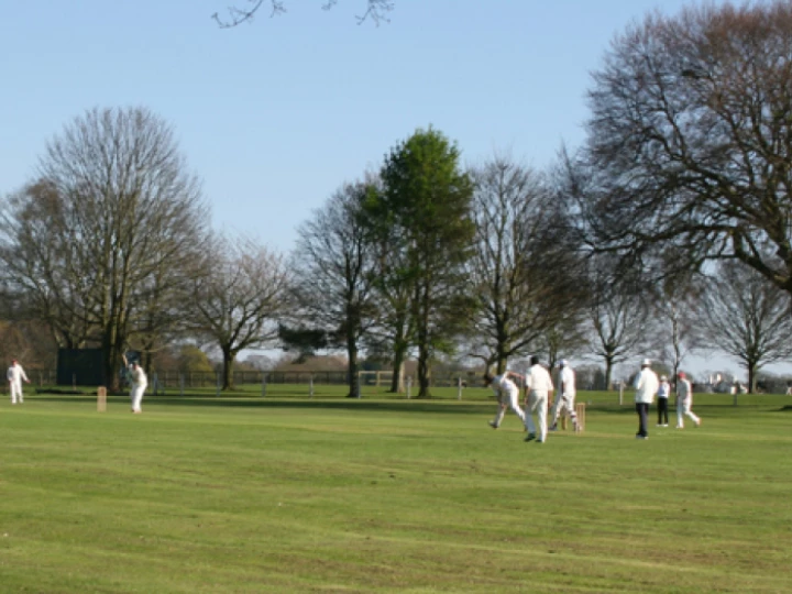 cricketlymm