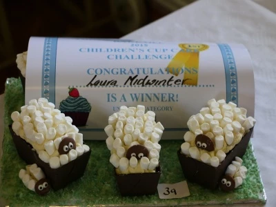 cupcakes infant winner
