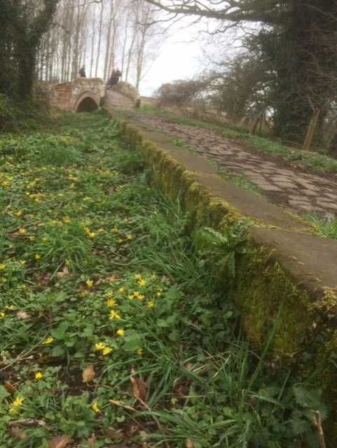 curb causeway