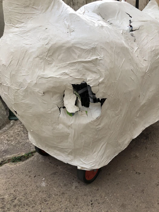 damaged model duck