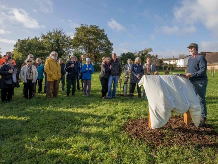 david greaves opens orchard