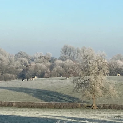 december chilly morning 2022