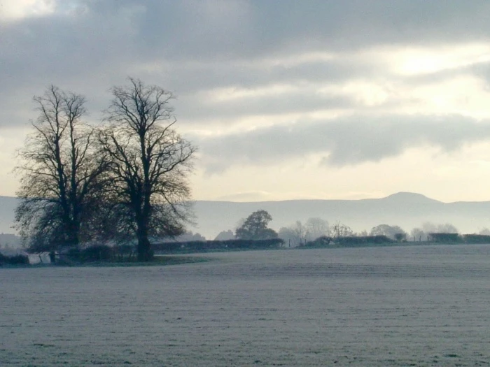 djw frost nov 2005
