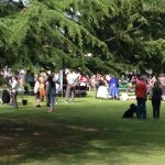 dodworth garden party 