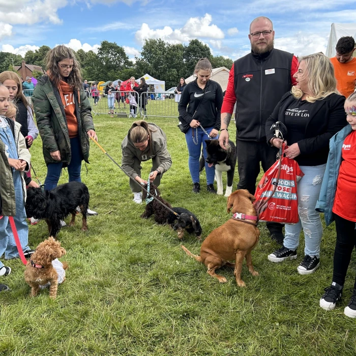 dog show 3