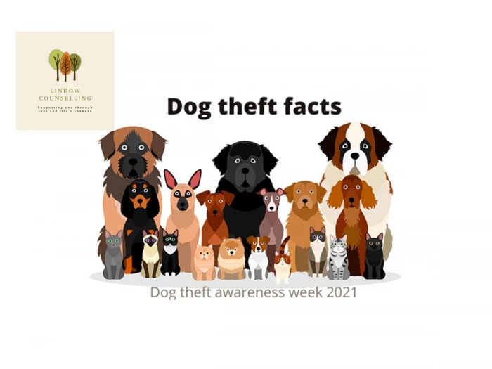 dog theft awareness week blog 2021