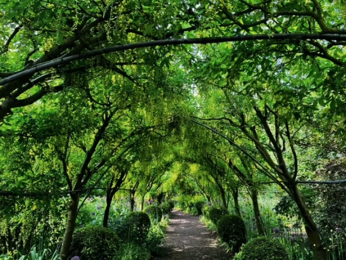 dorthy clive gardens