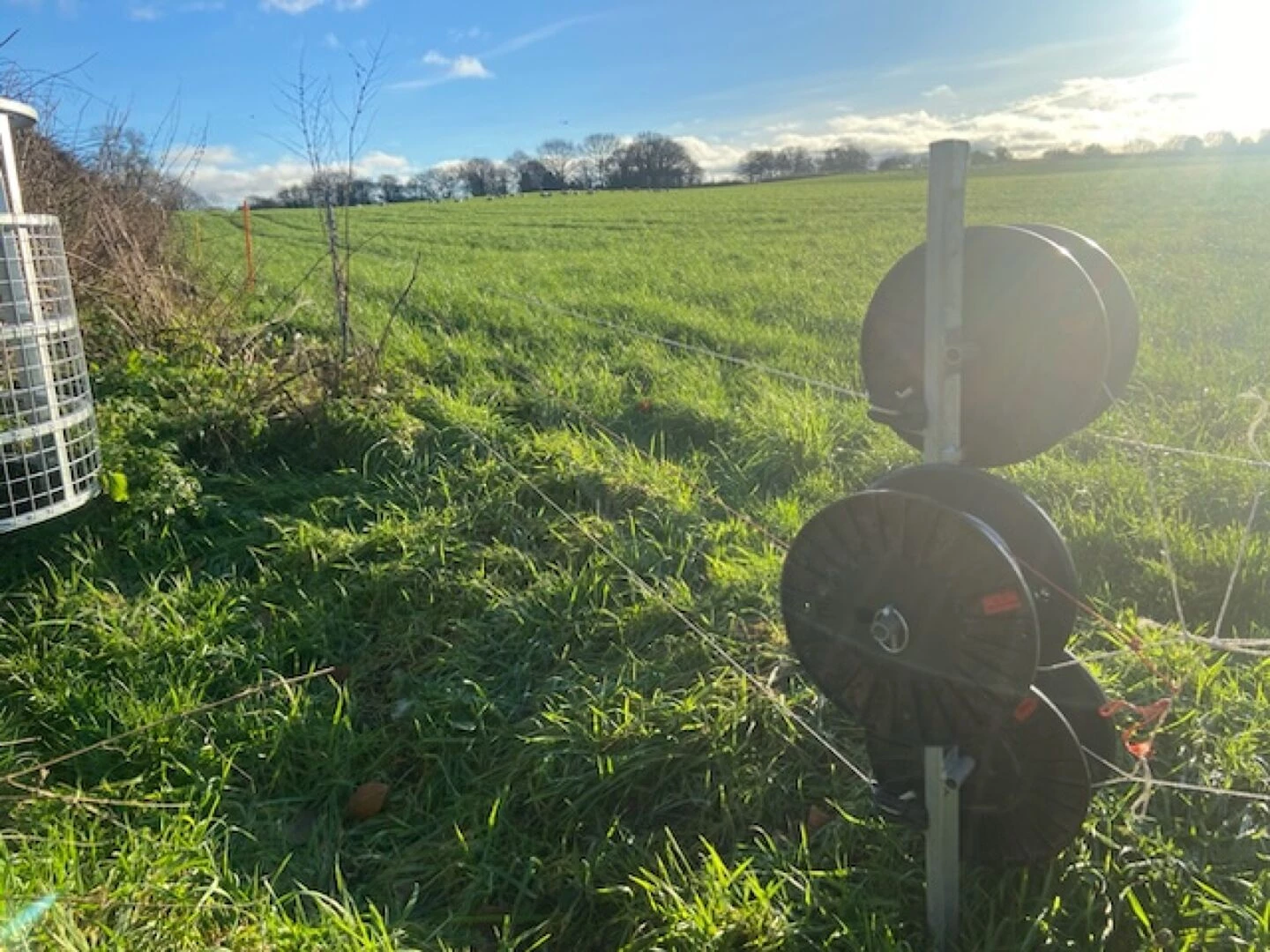electric fence
