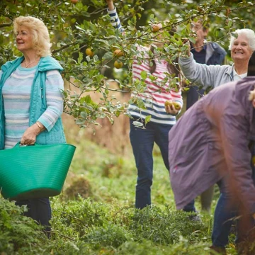 elswickresidentspickingapples