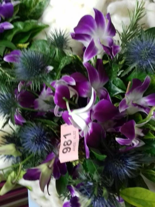 fc jan 2020 purple flowers 2020010821080998333