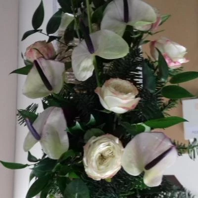fc jan 2020 white flowers 2020010821075198334