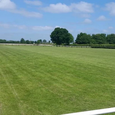 field of dreams
