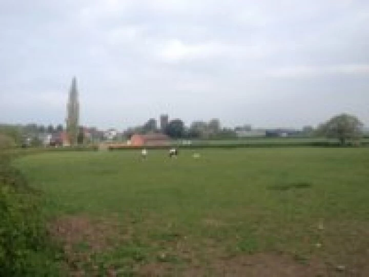fields
