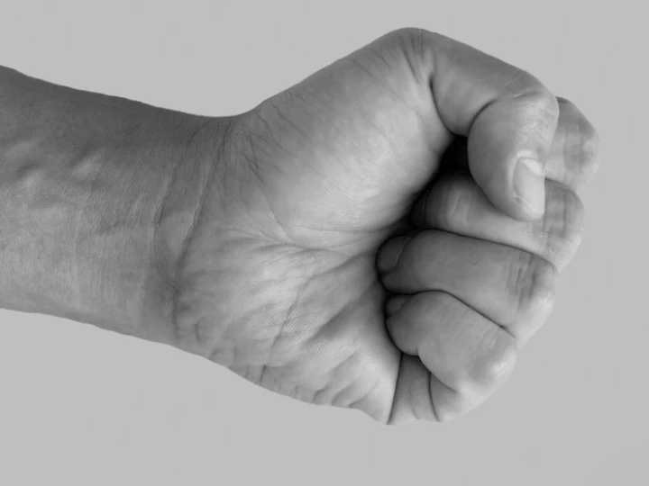fist