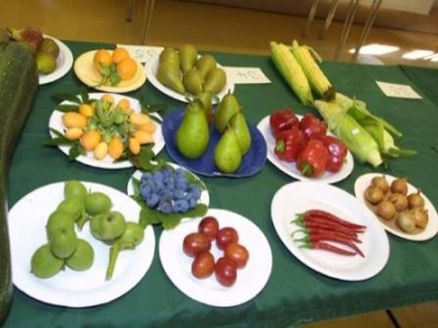 flower  produce 01