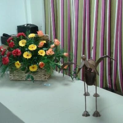 flower club may 2017 20170510212416