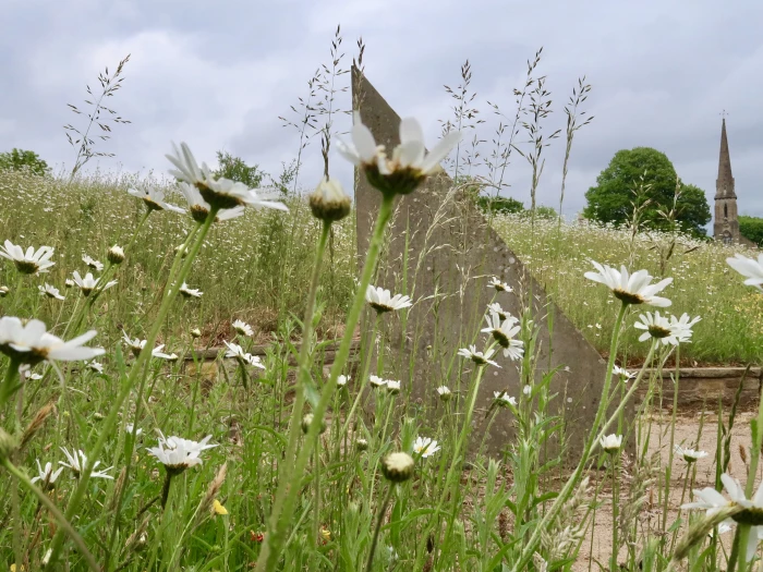 flowers 14