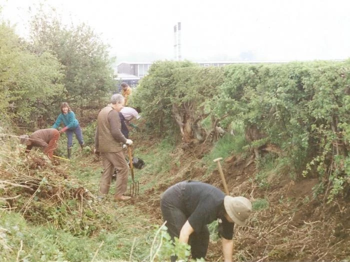 footpath clearing behind st andrews scan20170812