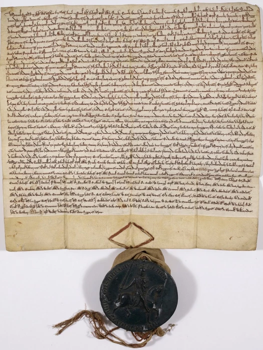 forest-charter-1225-c13550-78