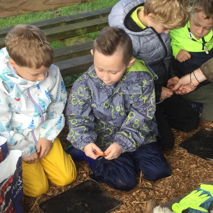 forest school 2024e