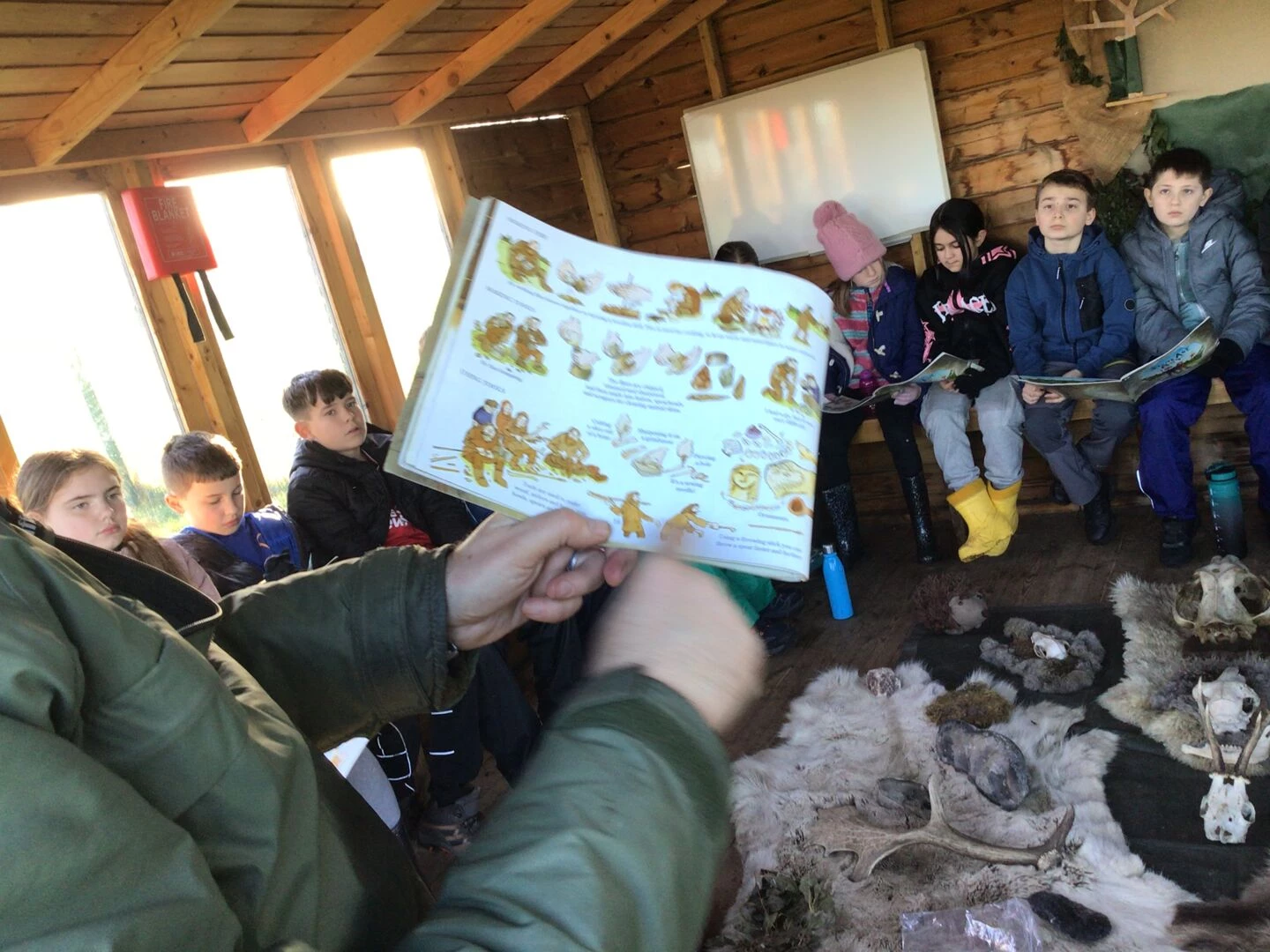 forest school history