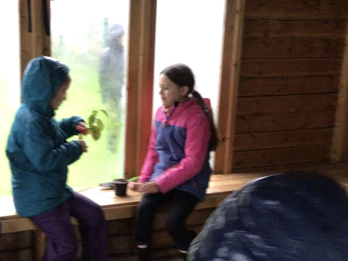 forest school