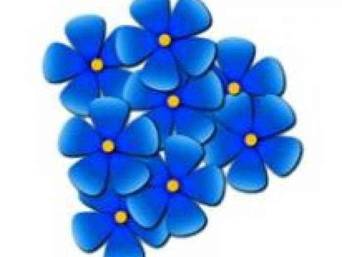 forget me not logo