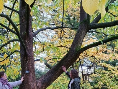 forrest bathing at tatton