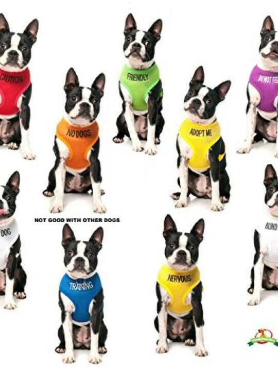 friendlygreencolourcodednonpulldogharnessknownasfriendlypreventsaccidentsbywarningothersofyourdoginadvance05