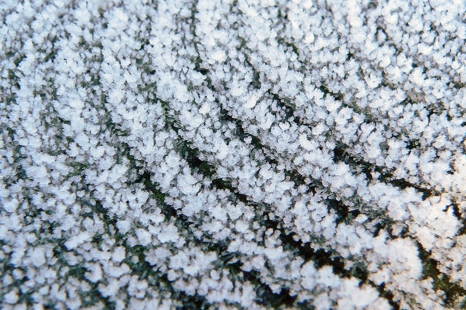 frosted fencep1260836