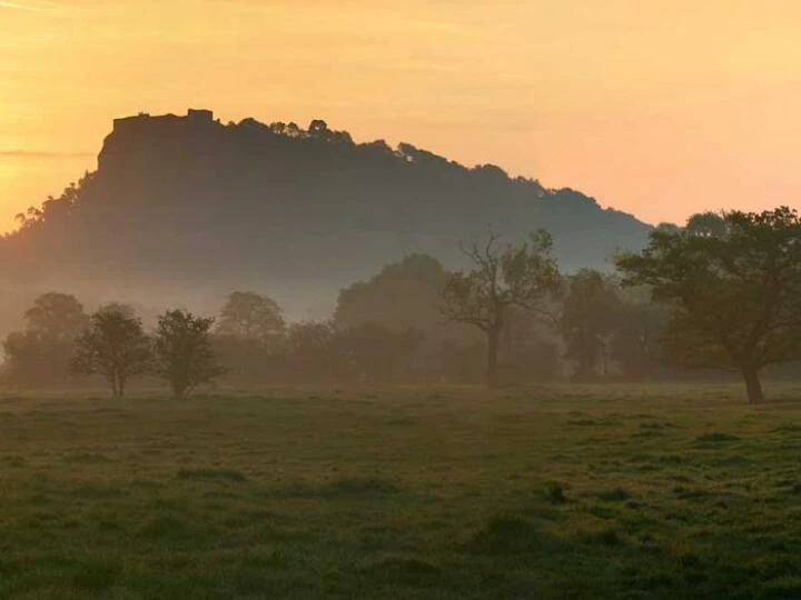 gallerybeestonsunrise1