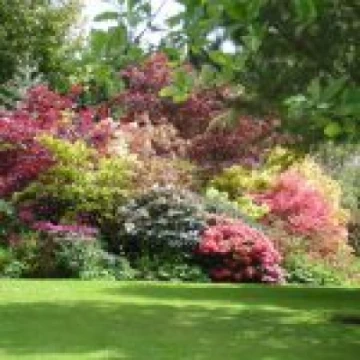 garden04