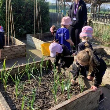gardening