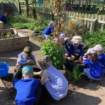 gardening