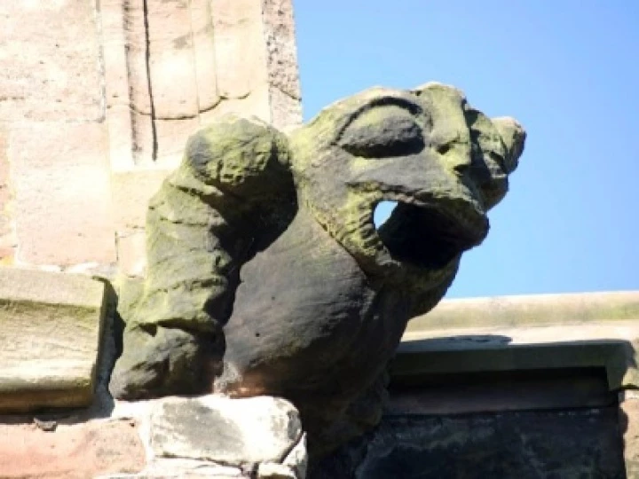 gargoyle