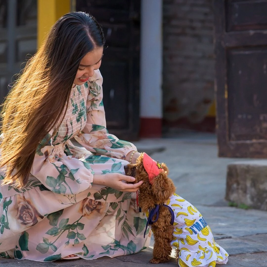 girl dog light people happy woman friendship nature animal person cute pampered beautiful model pet happiness streets dog people people people people people friendship