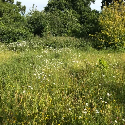glade 3