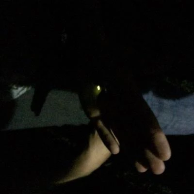 glow worms on batty piece june 2018